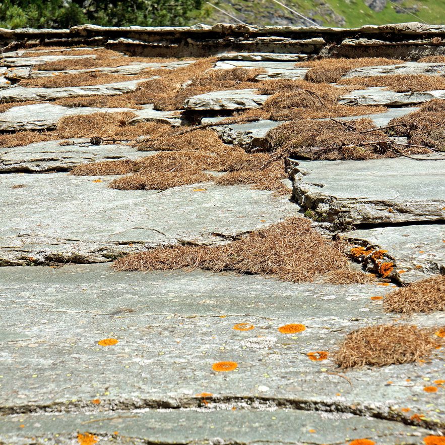 A weathered slate roof with lifted and broken slates.